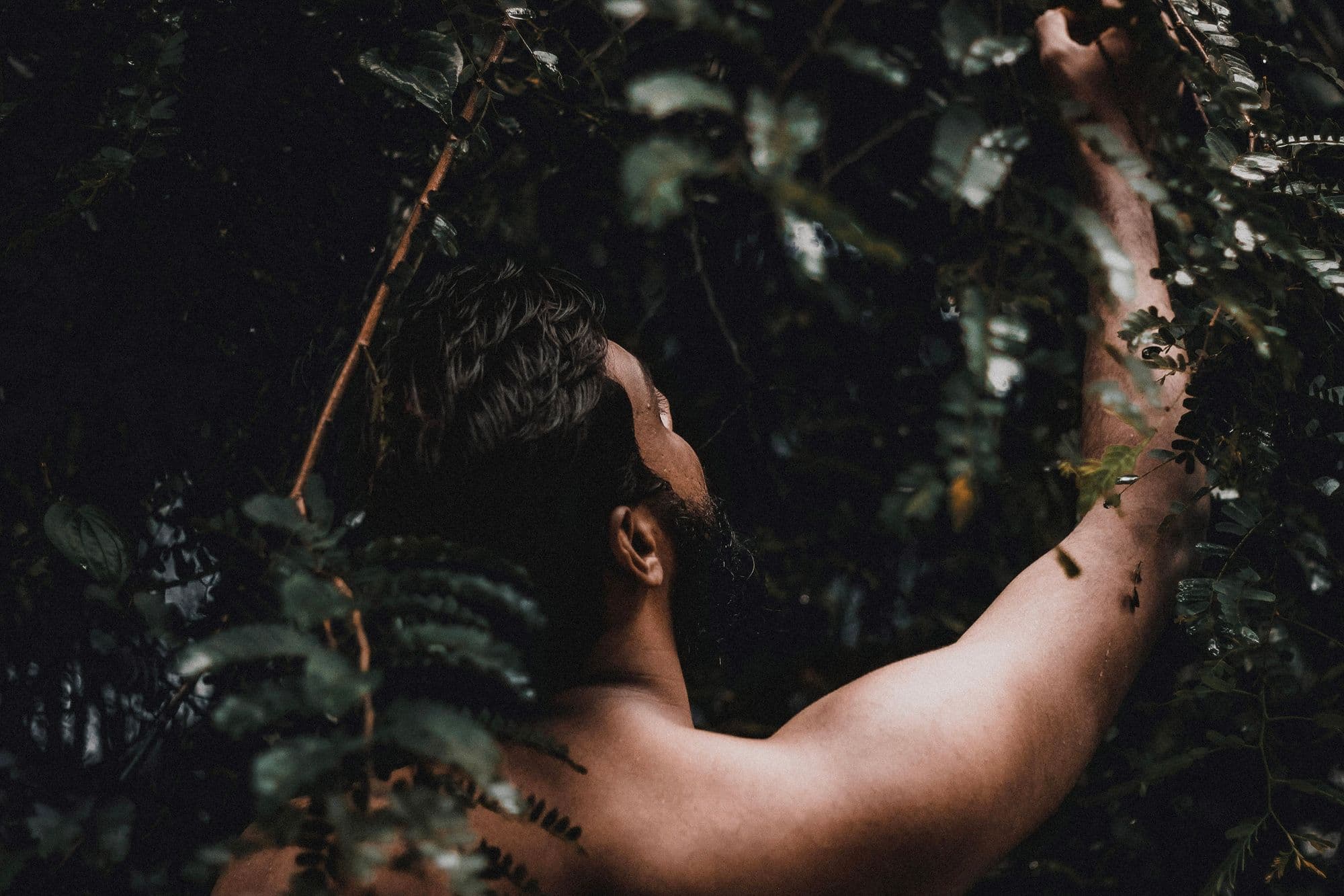 man looking through foliage