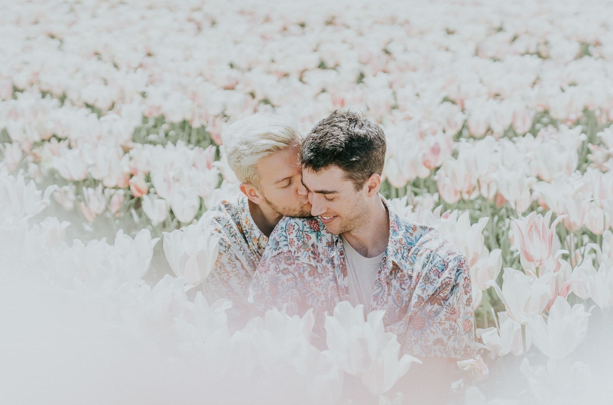 two-man-sitting-on-pink-flower-field-2432298.jpg