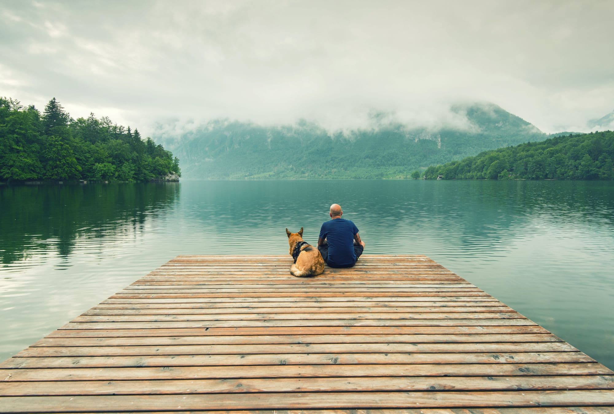 Pitta-Kapha.jpg