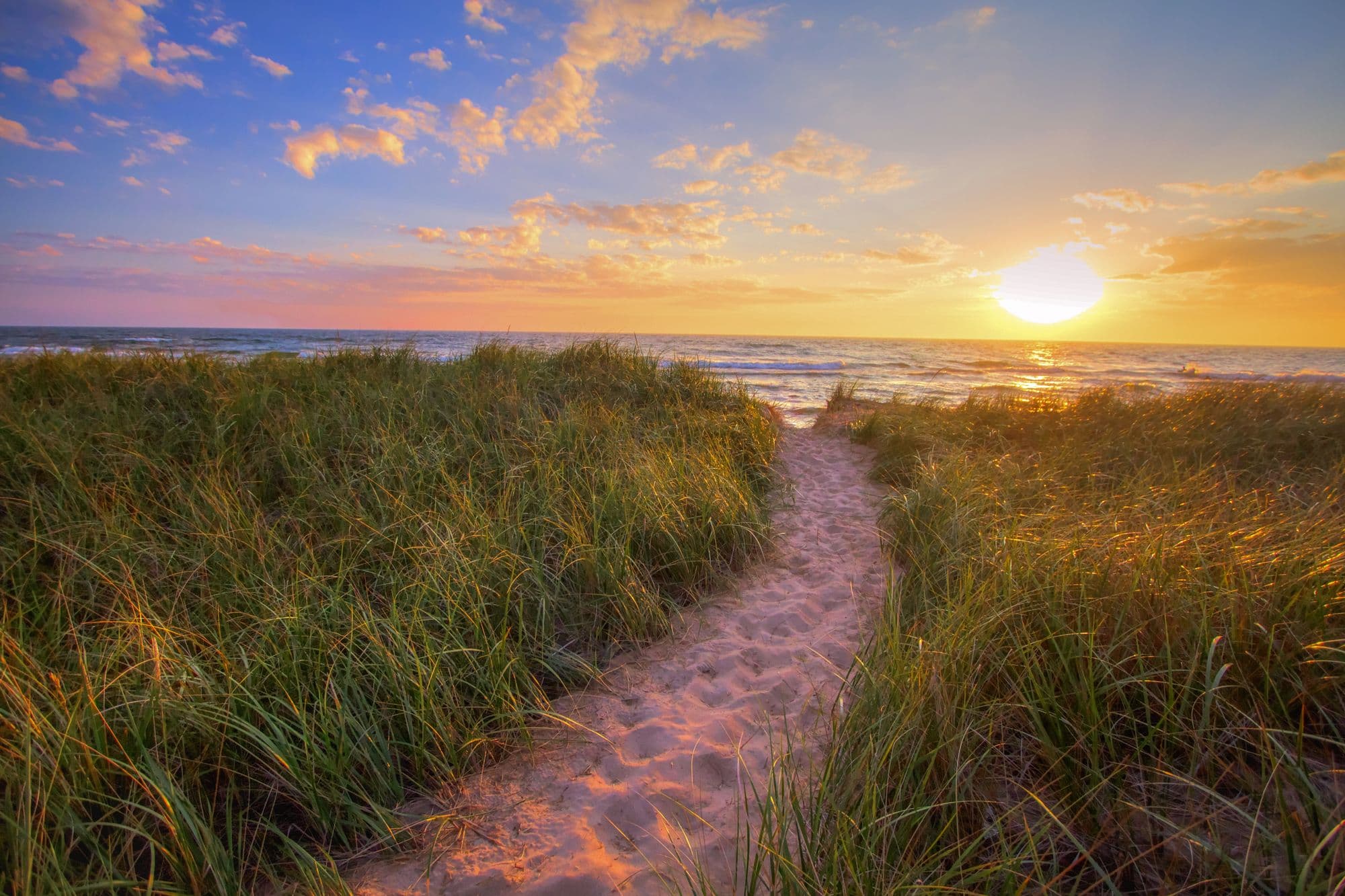 Sunset Beach Path Panoramic Background