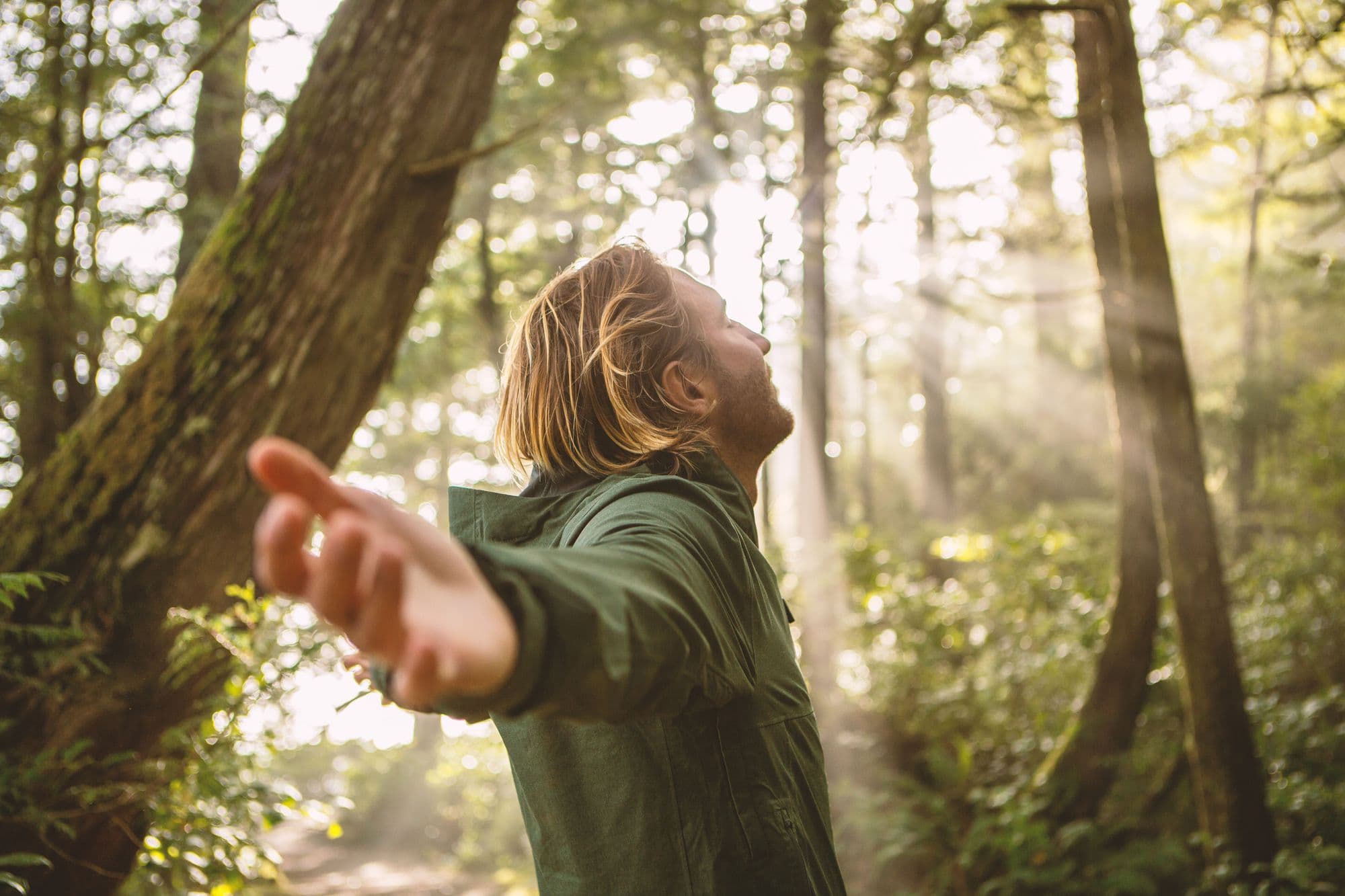 Young man embracing rainforest standing in sunbeams illuminating the trees