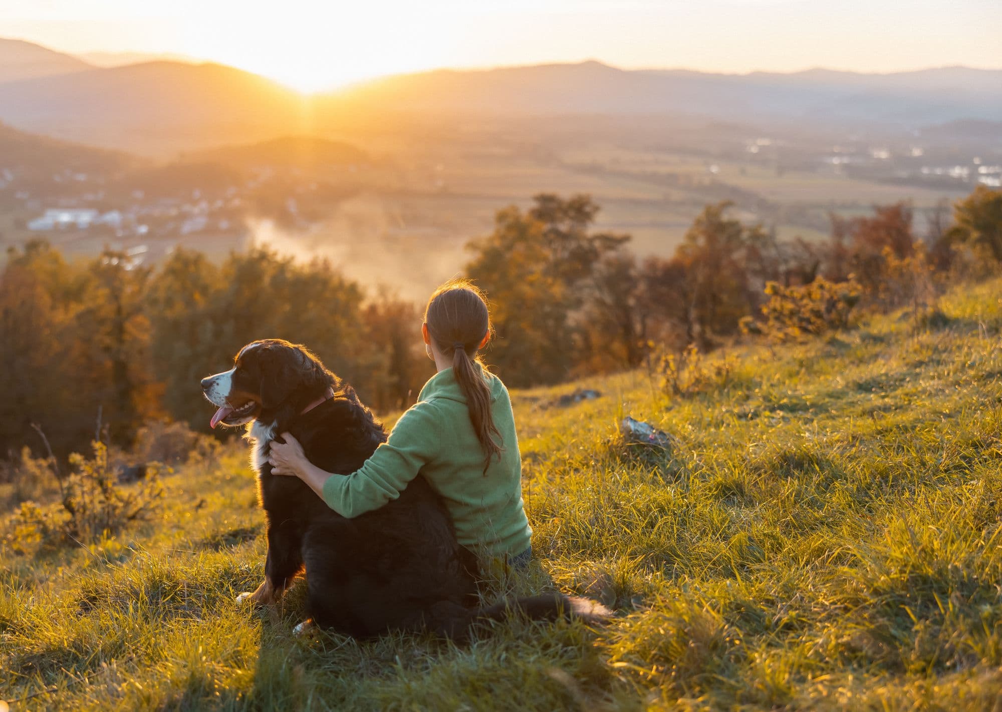 Woman with dog looking at view while sitting on top of mountain